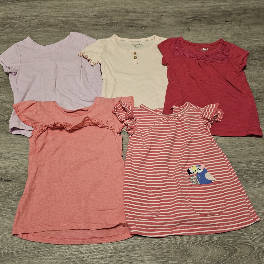 Assorted 2T TShirts